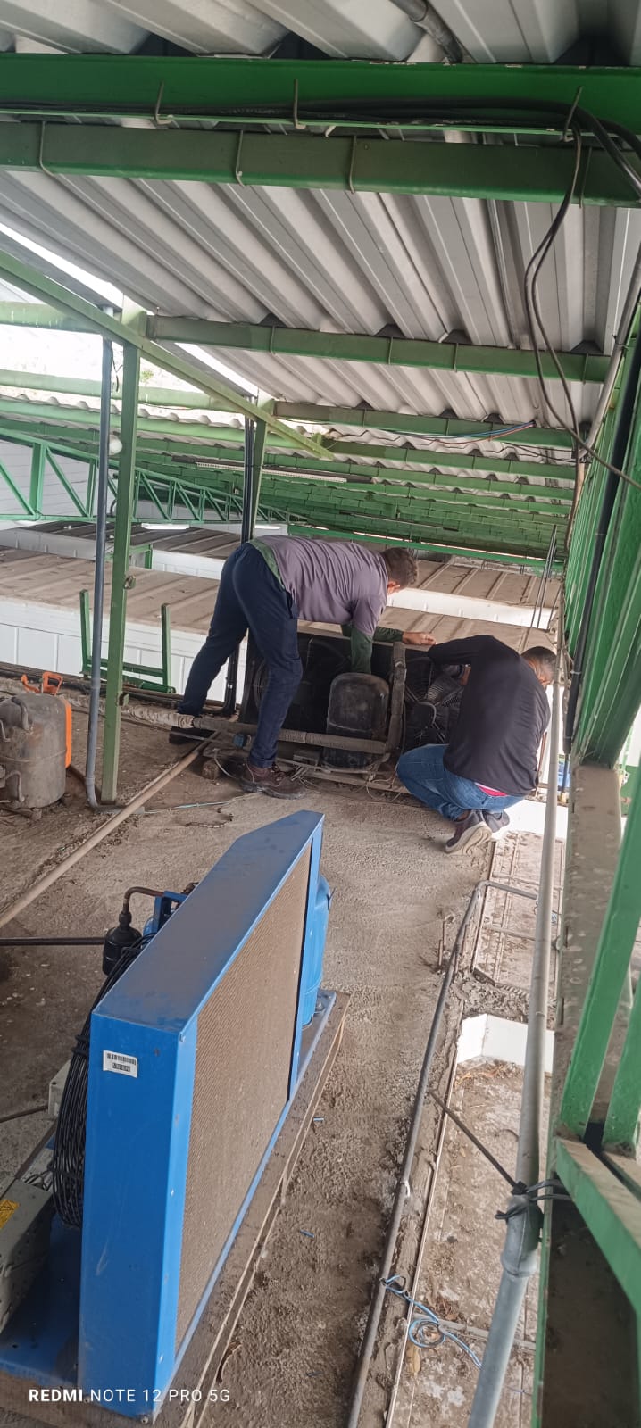 Câmara Fria - serviço 3